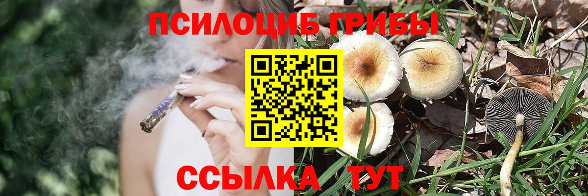 Псилоцибиновые грибы мухоморы Усть-Джегута
